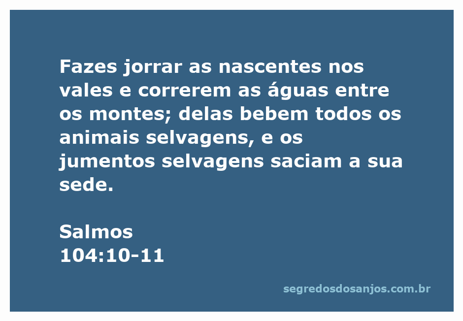 Imagem de uma nascente de água jorrando entre montes, representando Salmos 104:10-11.