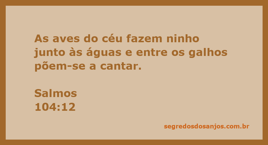 Aves cantando e fazendo ninho perto de um corpo d'água, cercadas por árvores.