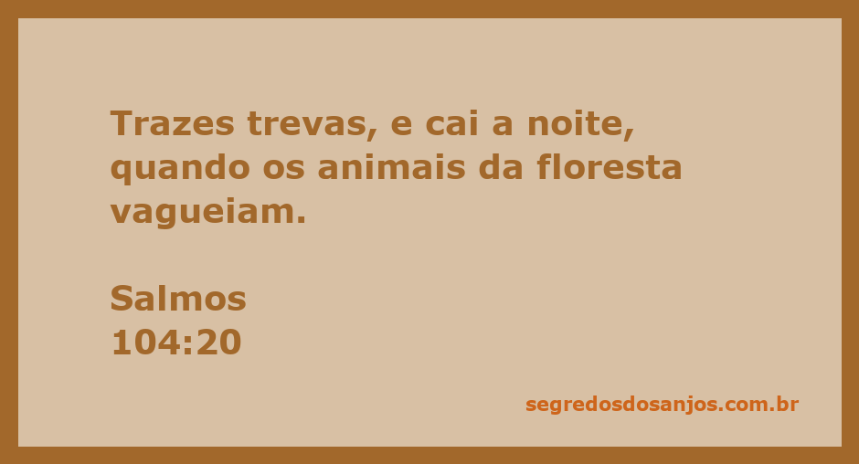 Imagem representando a noite na floresta, com animais vagando sob a escuridão.