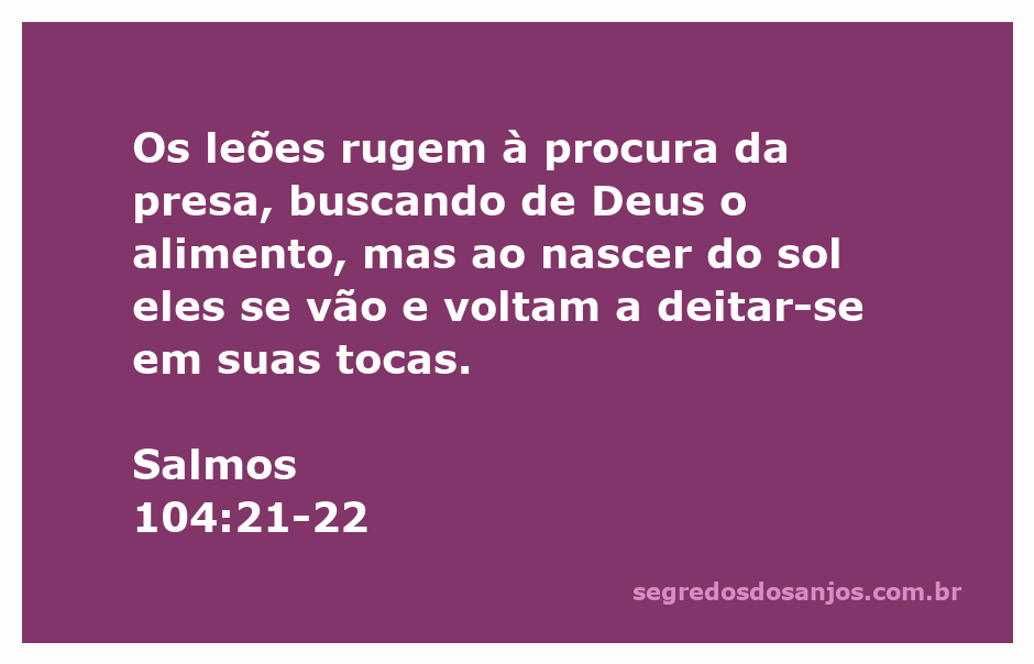 Leões em busca de alimento ao amanhecer, simbolizando a dependência da criação em relação a Deus.