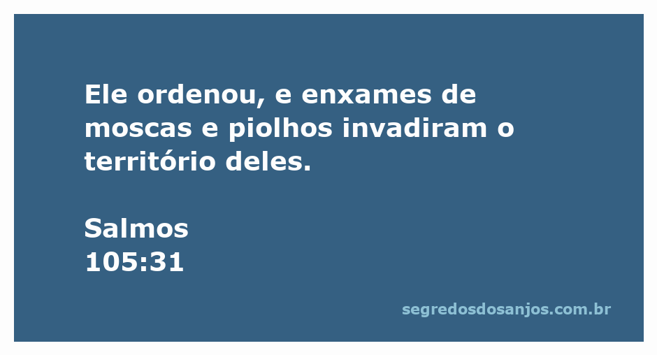 Imagem ilustrativa de enxames de moscas e piolhos simbolizando pragas divinas conforme Salmos 105:31.