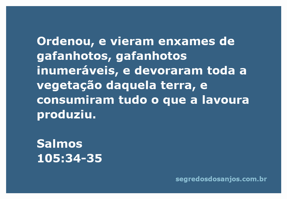 Imagem ilustrativa de gafanhotos devorando vegetação, representando a praga mencionada em Salmos 105:34-35.