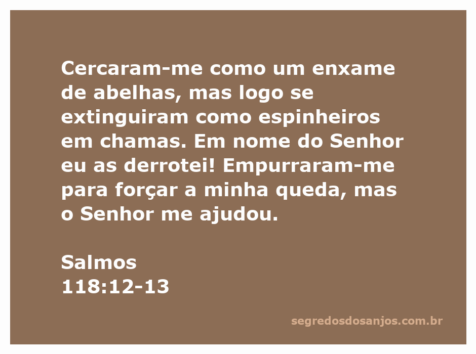 Imagem ilustrativa de um enxame de abelhas cercando uma pessoa, simbolizando desafios e superação com a ajuda divina.