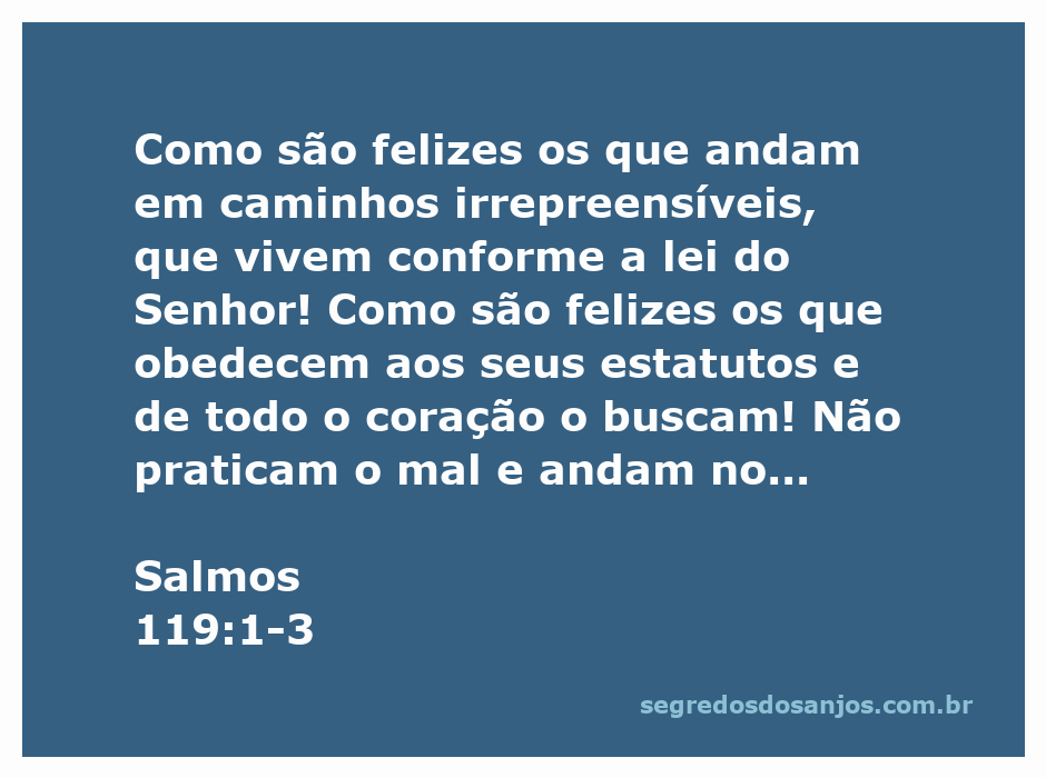 Imagem representativa de pessoas felizes seguindo os caminhos do Senhor, inspirada em Salmos 119:1-3.
