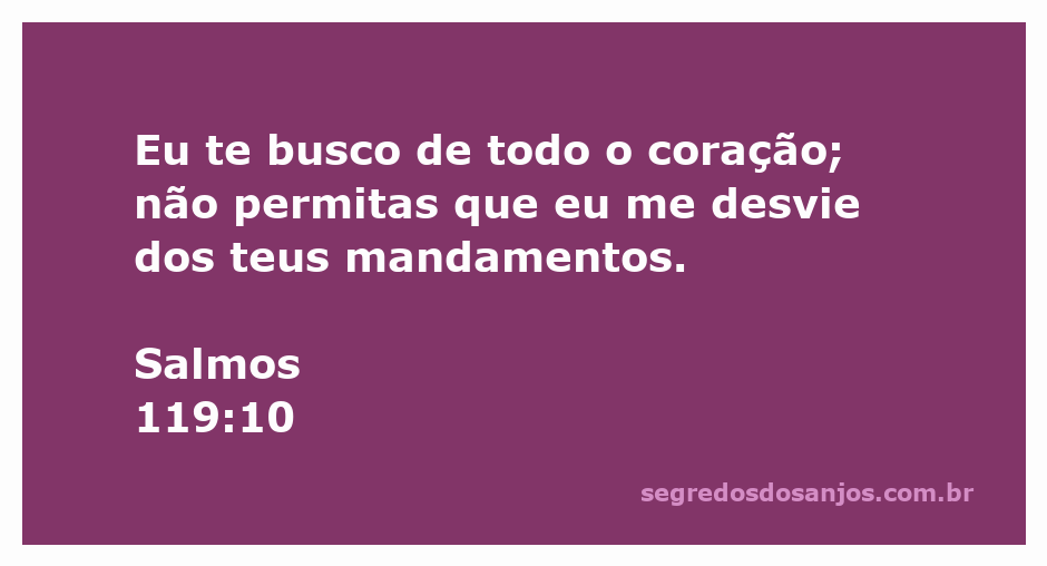 Imagem representativa da busca espiritual, ilustrando o versículo Salmos 119:10 sobre buscar a Deus de coração.