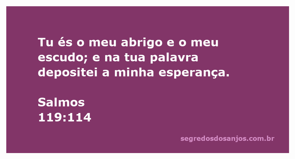 Imagem representativa de Salmos 119:114, simbolizando proteção e esperança.