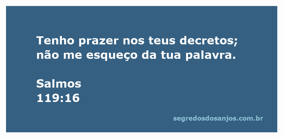 Imagem que representa o versículo Salmos 119:16, destacando a alegria nos decretos de Deus.