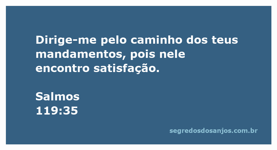 Imagem representativa do versículo Salmos 119:35, mostrando uma estrada iluminada simbolizando o caminho dos mandamentos de Deus.