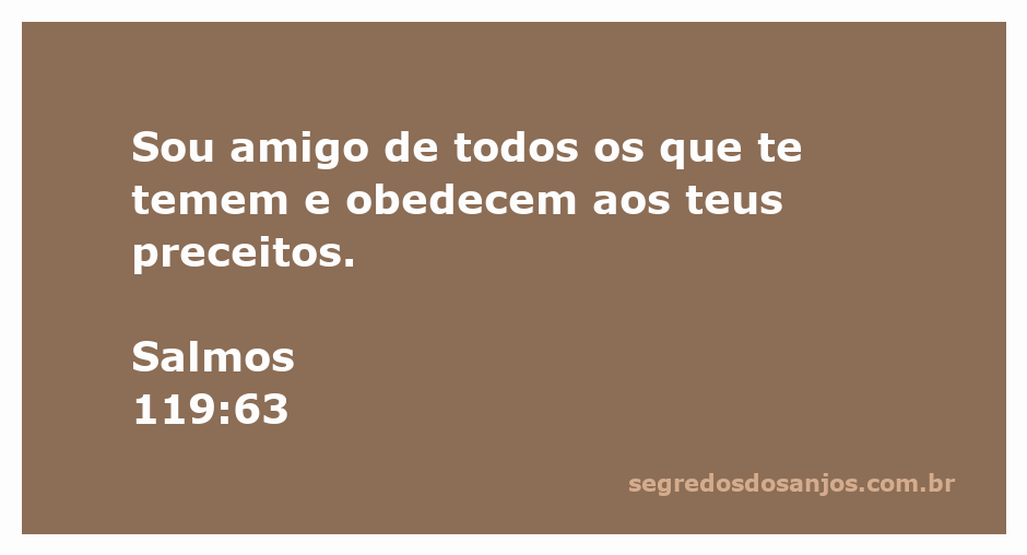 Imagem que representa a amizade e a obediência a Deus, inspirada em Salmos 119:63.