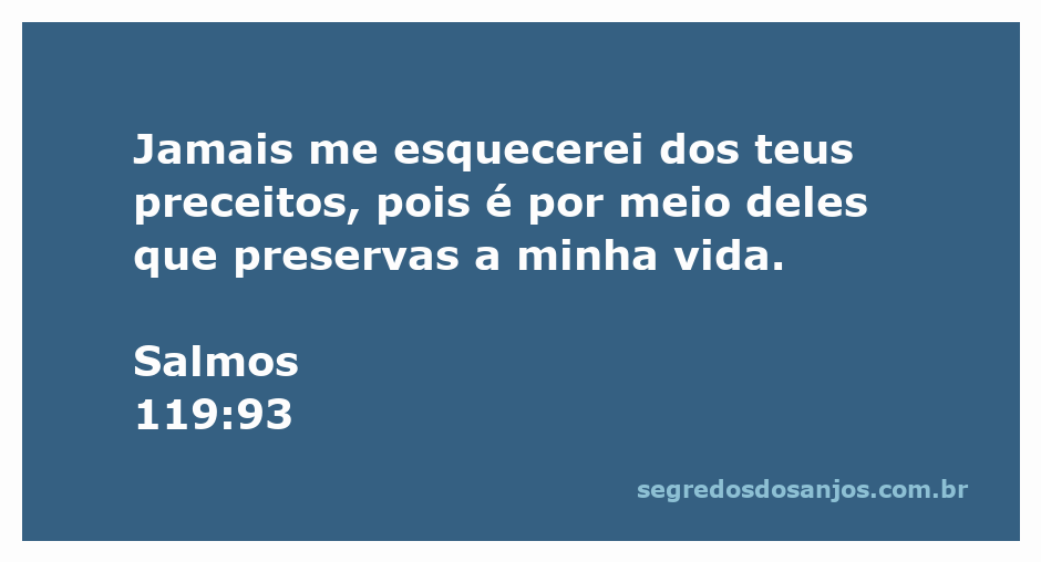 Uma imagem inspiradora que representa o versículo Salmos 119:93, destacando a importância dos preceitos de Deus na preservação da vida.