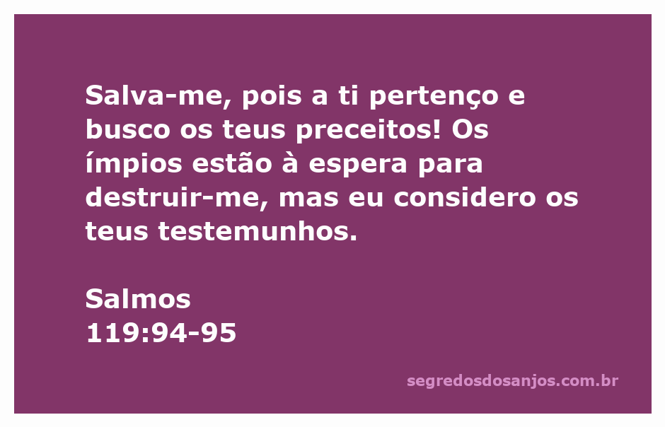 Imagem representativa do versículo Salmos 119:94-95, destacando a busca por preceitos divinos em tempos de adversidade.