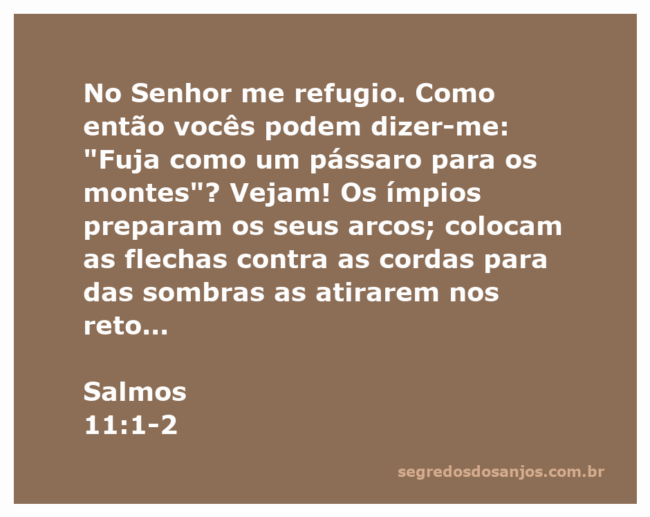Imagem representativa do versículo Salmos 11:1-2, mostrando um pássaro voando sobre montanhas, simbolizando refúgio e proteção divina.