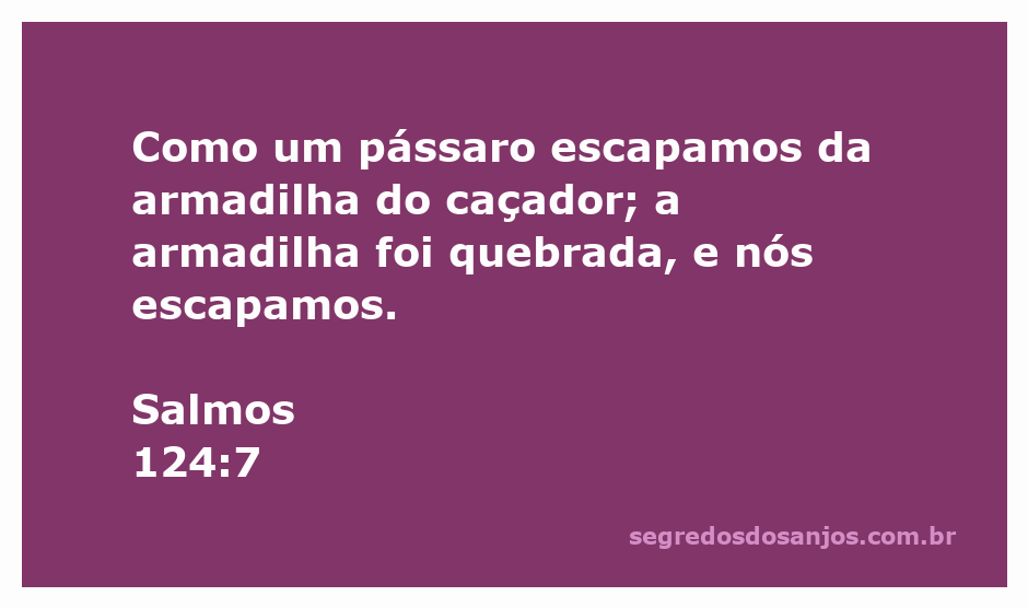 Imagem de um pássaro voando livremente, simbolizando a libertação da armadilha.