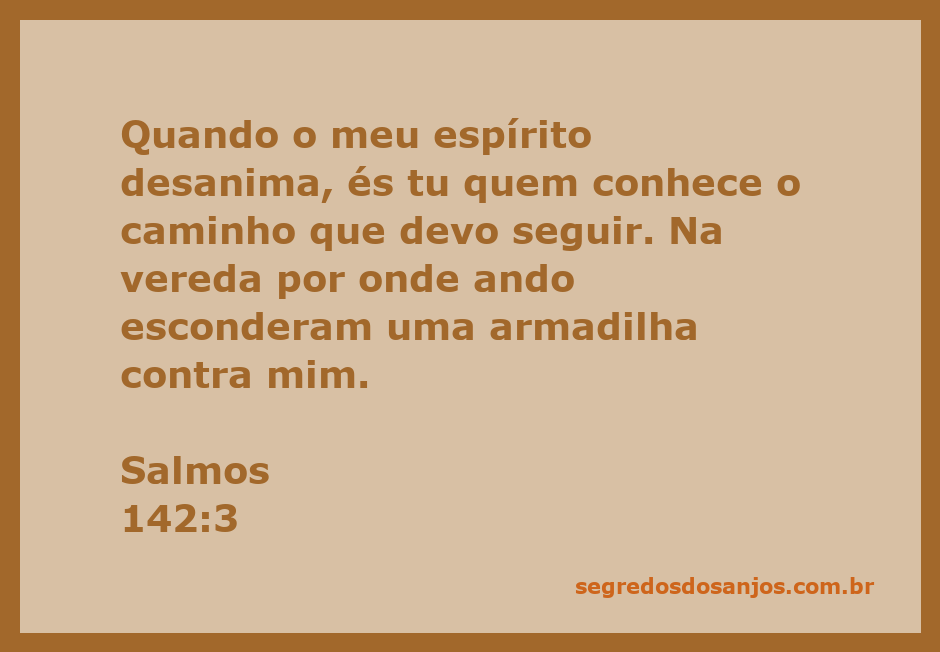 Imagem representativa do Salmo 142:3, mostrando uma pessoa em busca de orientação divina em tempos de desânimo.