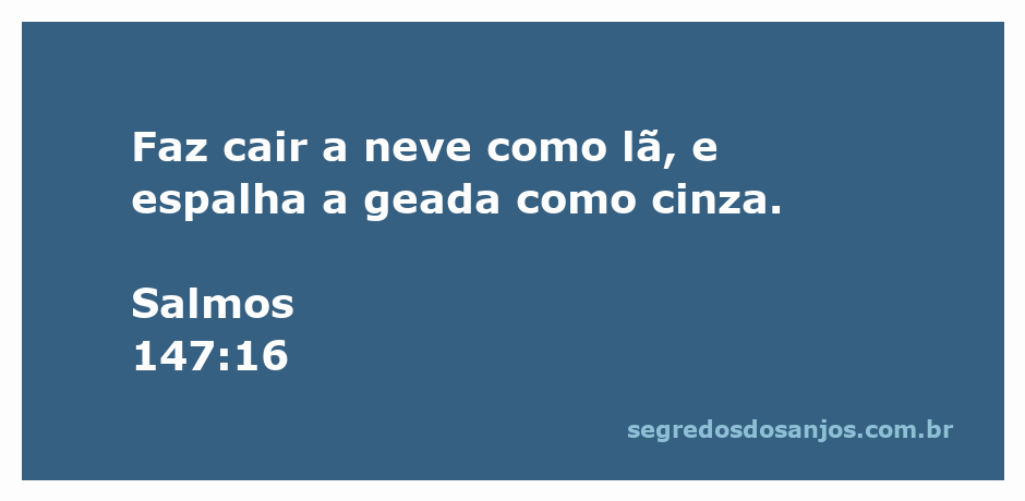 Imagem de neve caindo suavemente, simbolizando a beleza e a pureza, com a geada cobrindo o chão como uma camada de cinza.