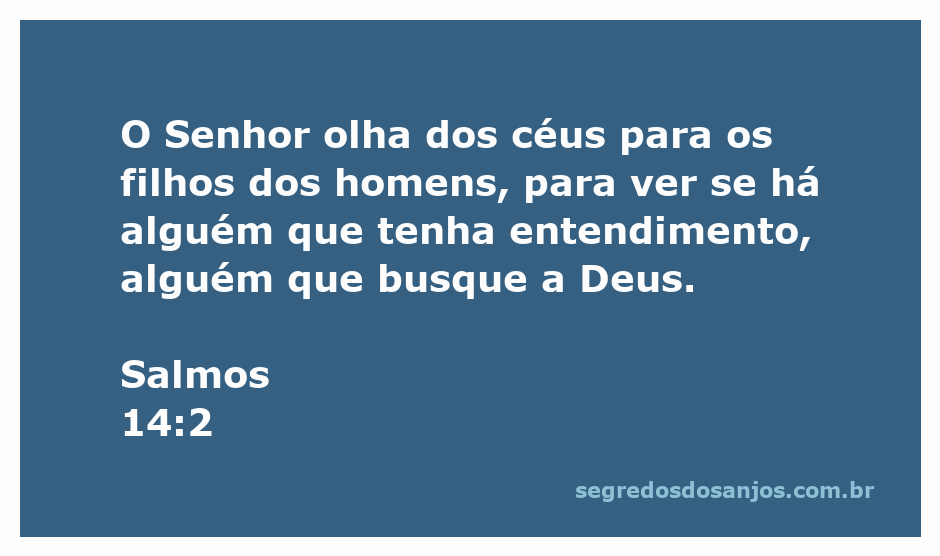 Imagem representando Salmos 14:2, destacando a busca por Deus e o entendimento humano.