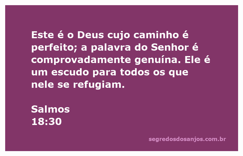 Imagem inspiradora representando Salmos 18:30, destacando a perfeição do caminho de Deus e a proteção que Ele oferece aos que se refugiam nele.