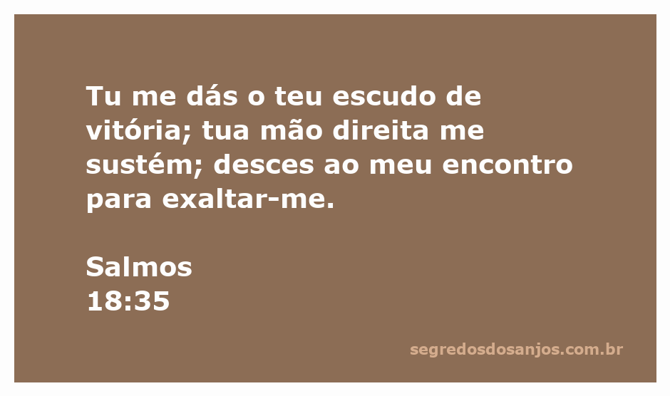 Uma imagem inspiradora que representa a proteção e o apoio divino, simbolizada por um escudo e uma mão que sustenta.