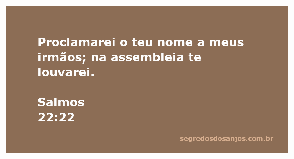 Imagem que ilustra o versículo Salmos 22:22, onde o autor proclama o nome de Deus na assembleia.