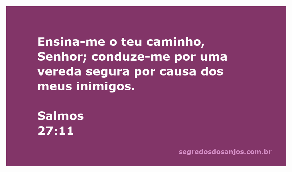 Imagem que representa a busca por orientação divina, inspirada no Salmo 27:11.
