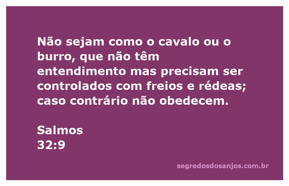 Imagem de um cavalo e um burro simbolizando a falta de entendimento e a necessidade de controle.