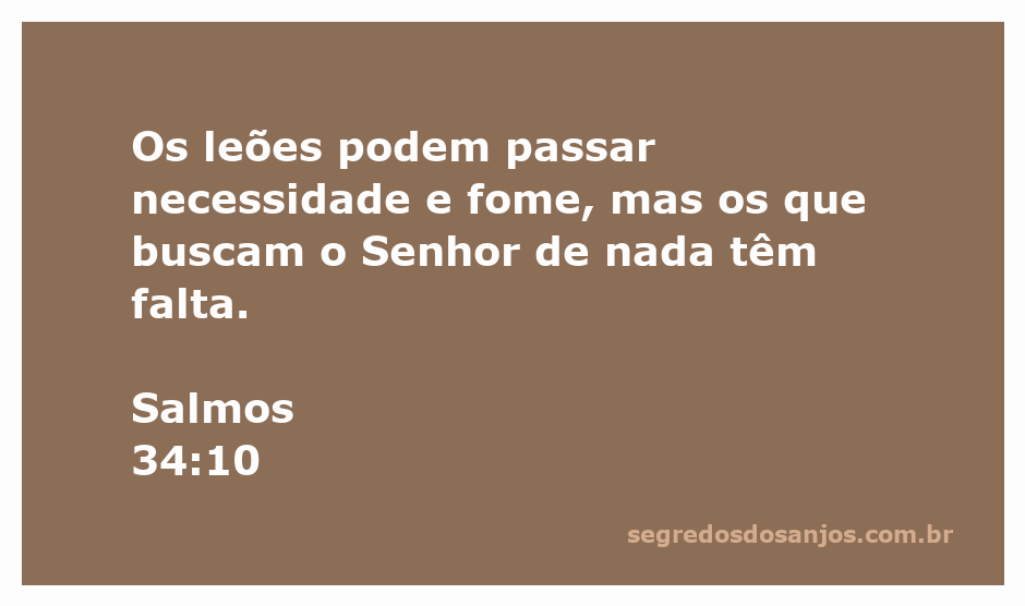 Uma ilustração de leões em uma floresta, simbolizando força e desafio, contrastada com a imagem de pessoas buscando a Deus.