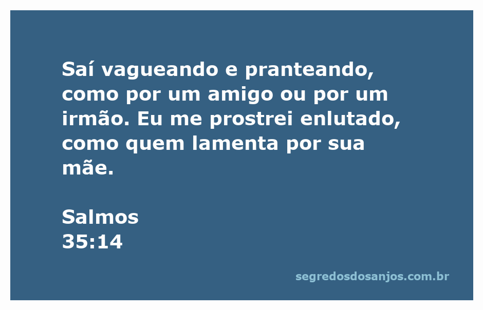 Imagem representativa de alguém lamentando a perda de um amigo ou familiar, simbolizando a dor e a tristeza expressas em Salmos 35:14.