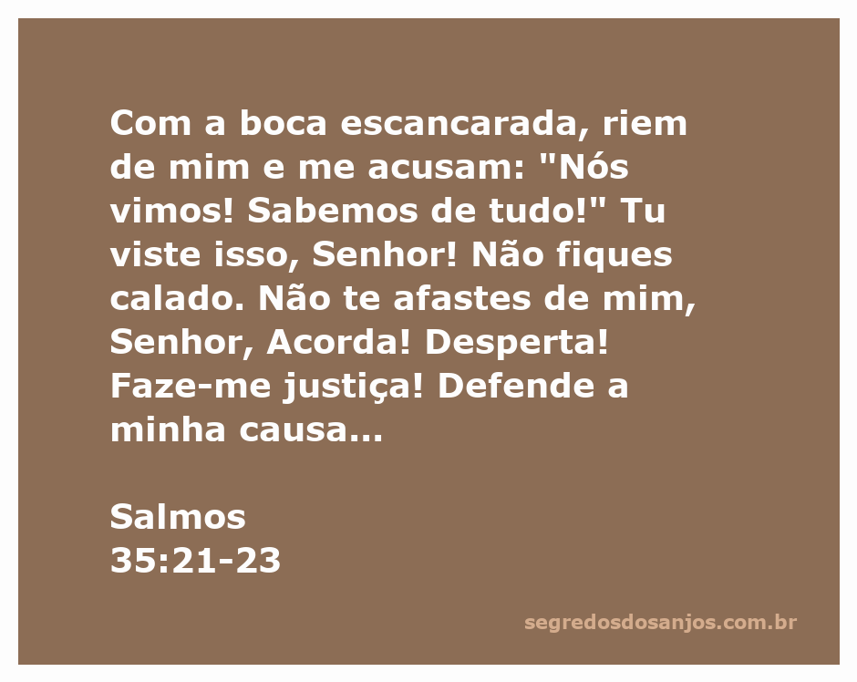 Imagem representativa de Salmos 35:21-23, mostrando a luta e a súplica de uma pessoa a Deus por justiça e defesa.