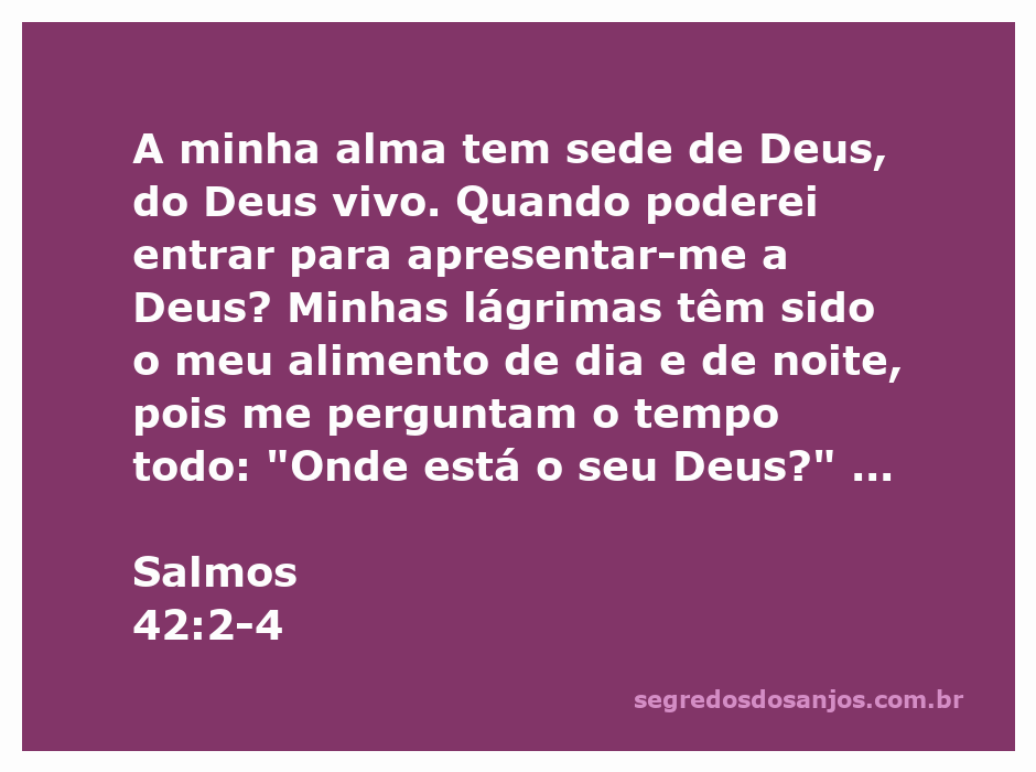 Imagem representativa de uma pessoa em busca de Deus, simbolizando a sede espiritual expressa em Salmos 42:2-4.