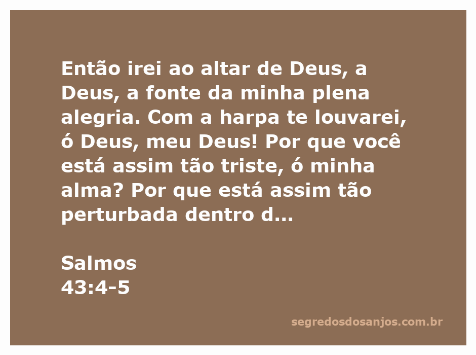 Imagem representativa de Salmos 43:4-5, mostrando uma pessoa em oração com uma harpa, simbolizando alegria e esperança em Deus.