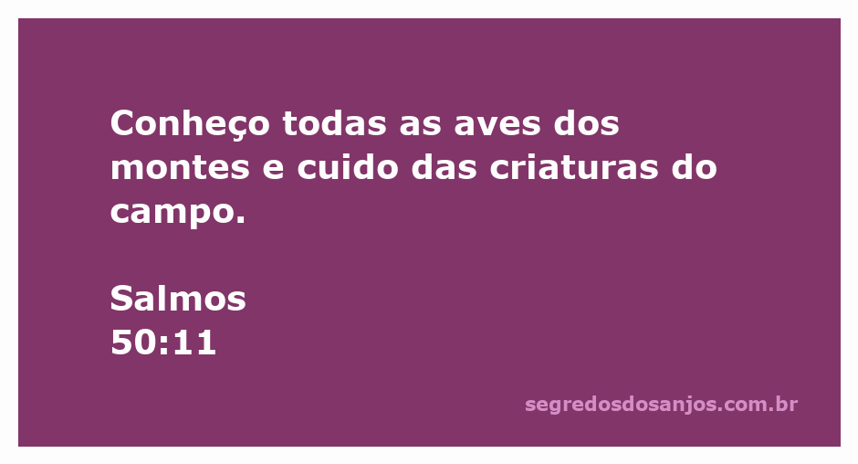 Imagem representativa das aves dos montes e criaturas do campo, simbolizando o cuidado divino.