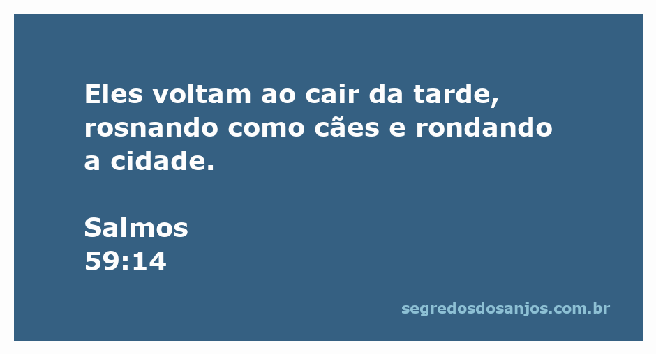 Imagem de cães rosnando ao entardecer nas ruas da cidade, simbolizando a inquietação e a ameaça.