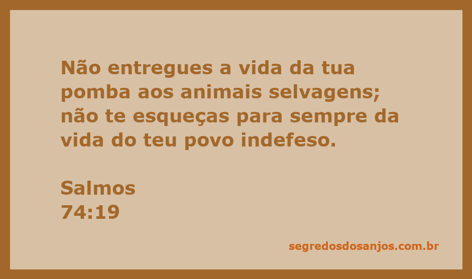 Imagem de uma pomba simbolizando a vida e a proteção do povo de Deus.