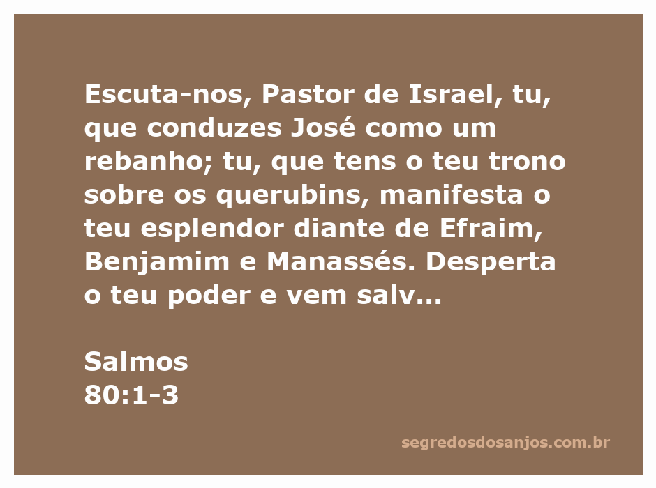 Imagem ilustrativa do Pastor de Israel, simbolizando a proteção e guia divina sobre o povo de Deus, com referências a Efraim, Benjamim e Manassés.