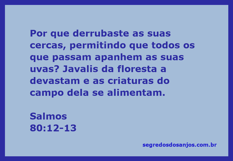Imagem de uma vinha cercada, simbolizando a proteção divina e a devastação causada por javalis.