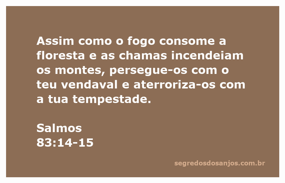 Imagem de uma floresta em chamas, simbolizando a força e o poder de Deus em Salmos 83:14-15.