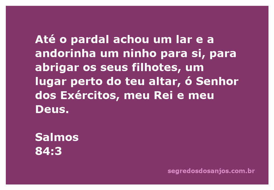 Imagem de um pardal e uma andorinha em um ninho, simbolizando a busca por abrigo e proteção divina.