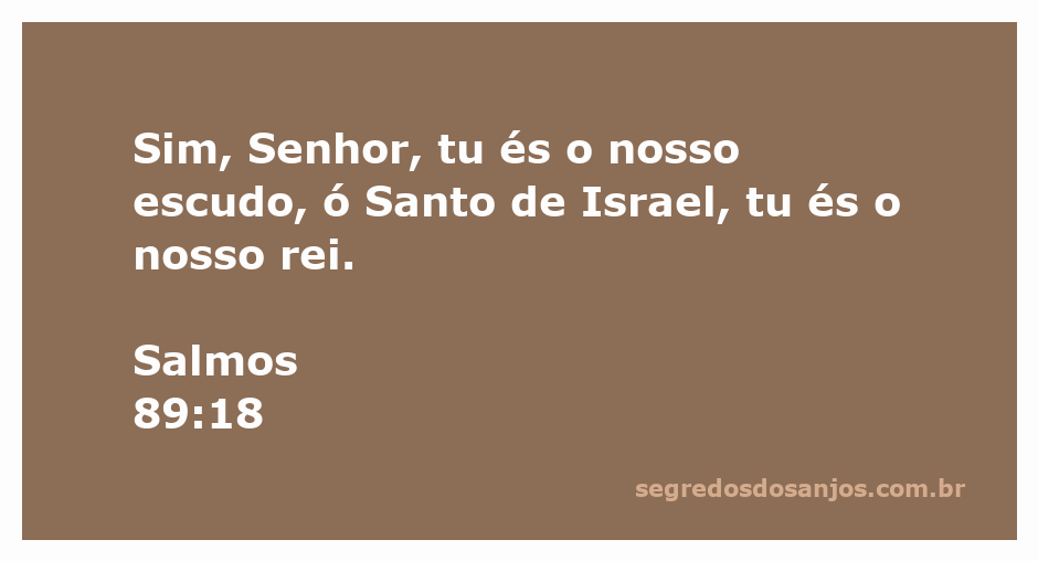 Imagem representativa de Salmos 89:18, mostrando um escudo com a inscrição 'Nosso Rei' e elementos que simbolizam proteção e santidade.
