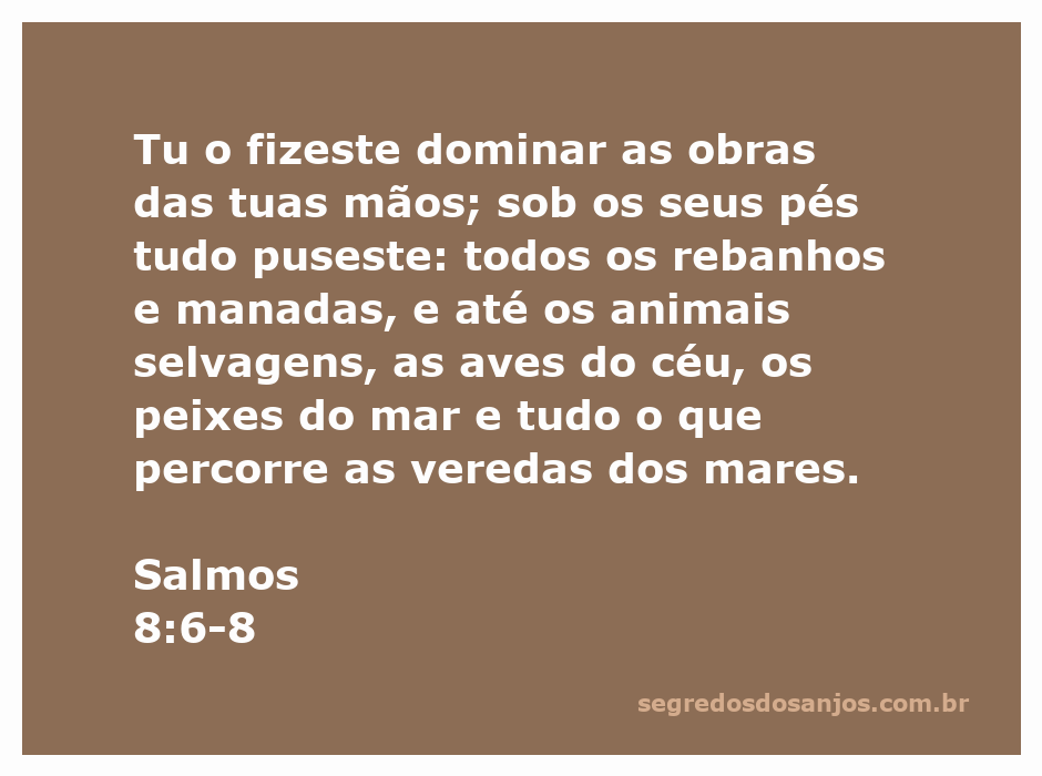 Imagem representando Salmos 8:6-8, destacando a dominação do homem sobre a criação de Deus.