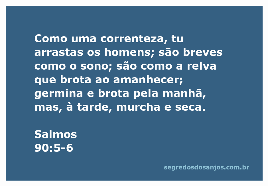 Imagem representativa de Salmos 90:5-6, ilustrando a brevidade da vida através de uma correnteza e a relva que murcha ao entardecer.