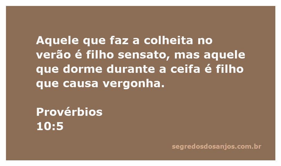 Imagem representativa de uma colheita no verão simbolizando sabedoria e diligência.