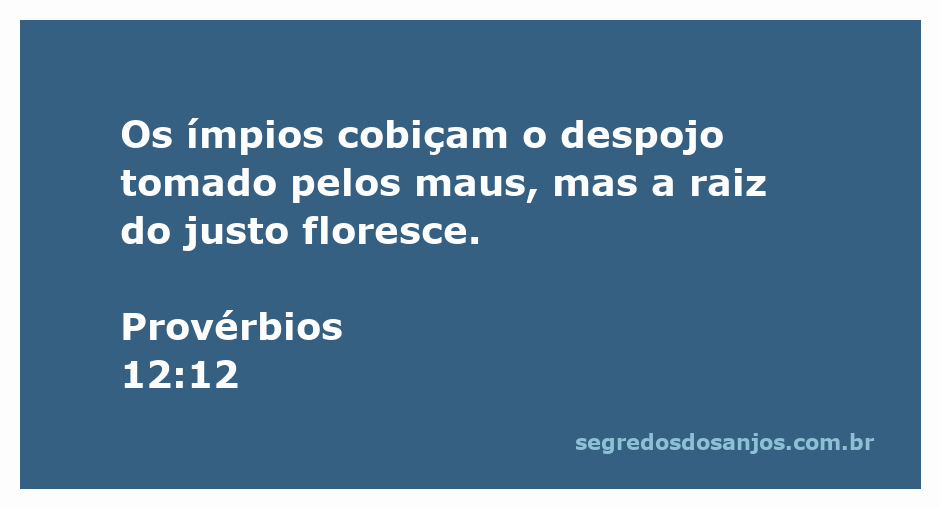 Ilustração do versículo Provérbios 12:12, destacando a diferença entre os ímpios e os justos.