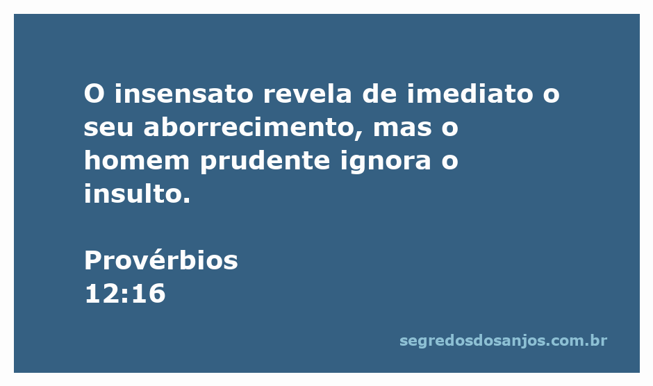 Imagem ilustrativa sobre a sabedoria e a prudência, destacando o versículo de Provérbios 12:16.
