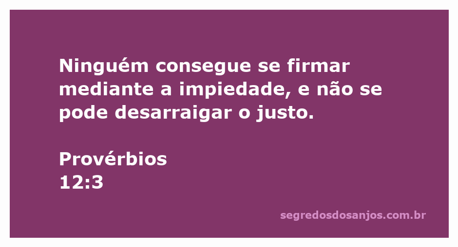 Imagem que ilustra o versículo de Provérbios 12:3, destacando a relação entre impiedade e justiça.