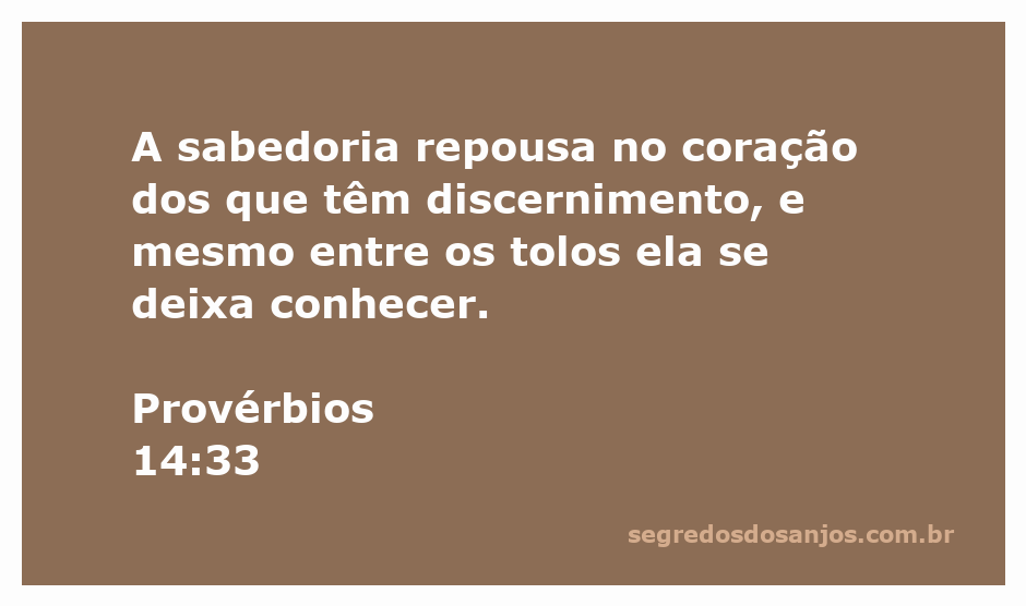 Imagem representativa da sabedoria e discernimento, inspirada em Provérbios 14:33
