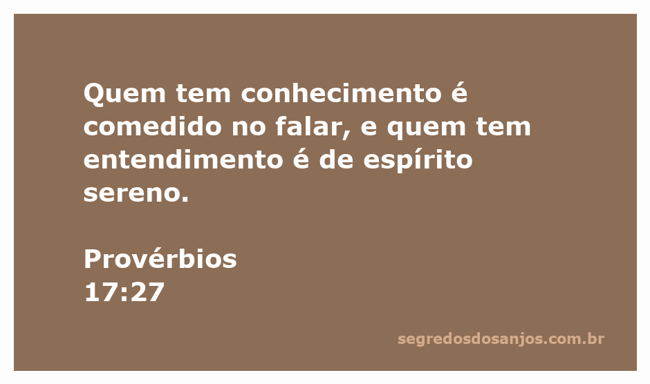 Imagem representativa da sabedoria e calma, ilustrando Provérbios 17:27 sobre o conhecimento e entendimento.