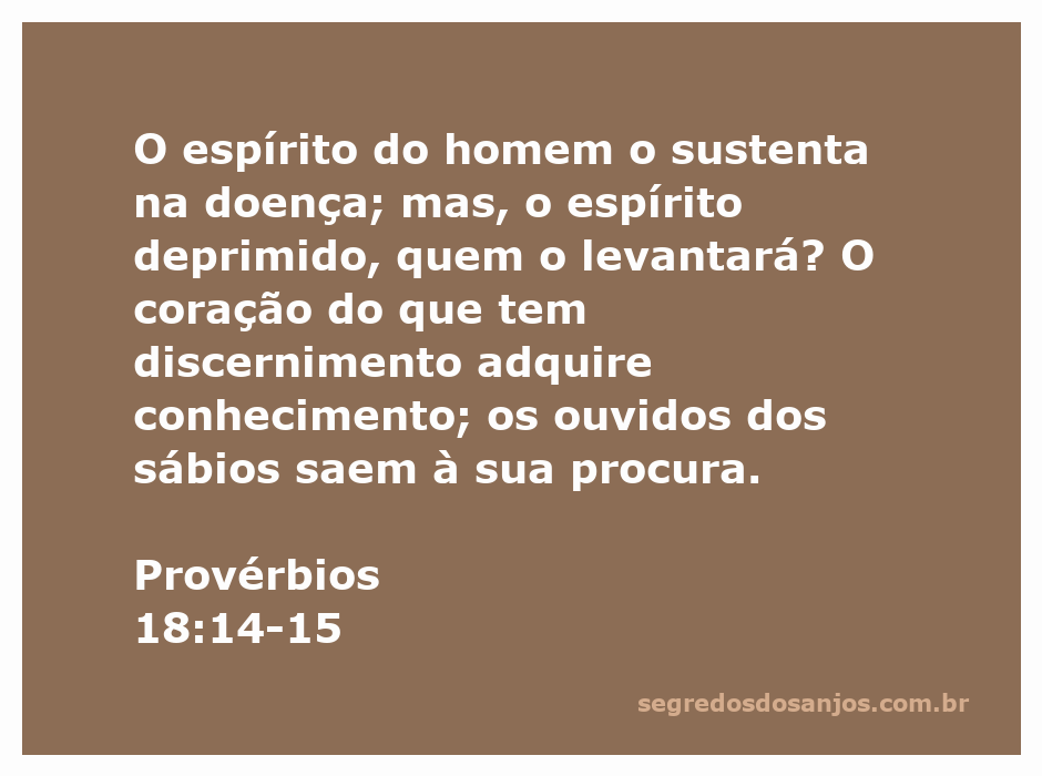 Imagem representativa da passagem de Provérbios 18:14-15, destacando a importância do espírito e do discernimento na superação das dificuldades.