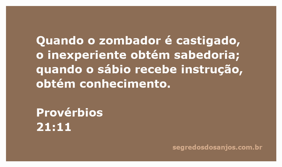 Ilustração do versículo de Provérbios 21:11, destacando a sabedoria adquirida através do castigo e da instrução.