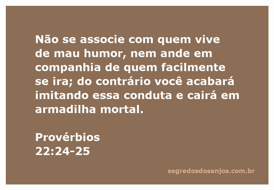 Imagem representativa de Provérbios 22:24-25, mostrando a importância de escolher bem as companhias e evitar influências negativas.