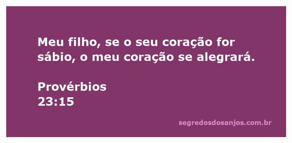 Imagem de um pai e um filho compartilhando um momento de sabedoria, simbolizando a alegria que vem de um coração sábio.